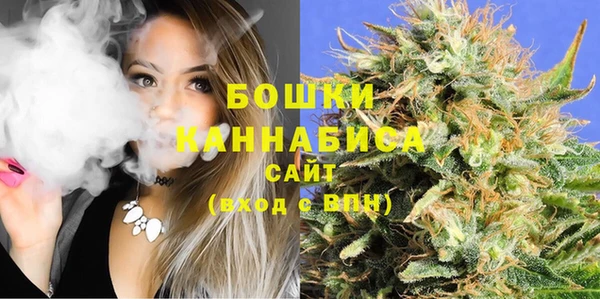 мет Касимов