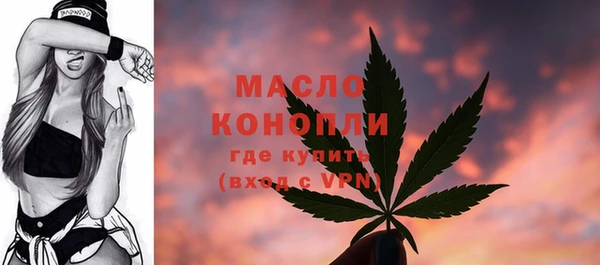 сатива Кинешма