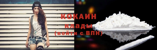 сатива Кинешма