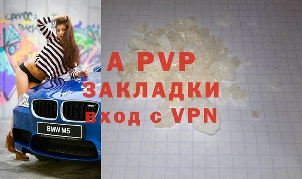 сатива Кинешма