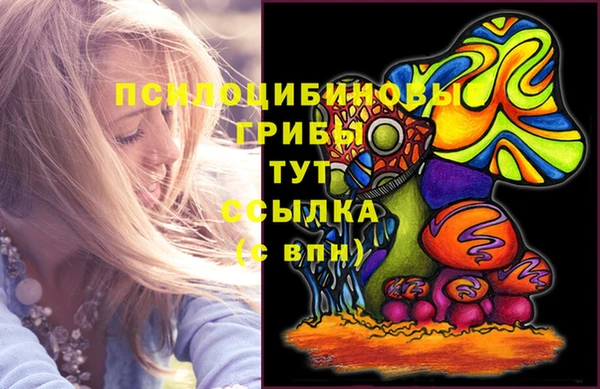 прущие крисы Карпинск
