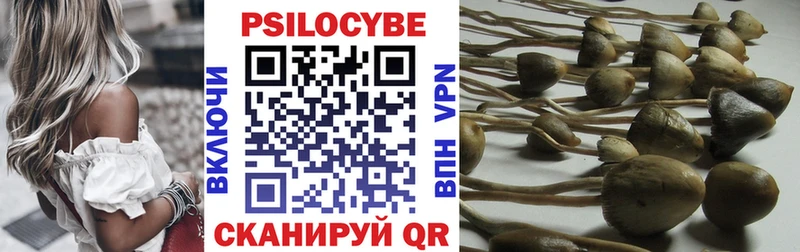 KRAKEN ТОР  Называевск  Псилоцибиновые грибы Cubensis 
